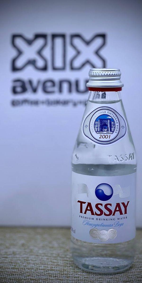 Tassay 0,25 без газ